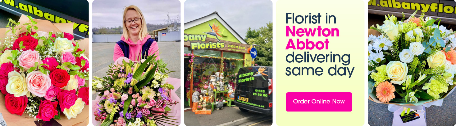 Seasonal bouquets from Albany florists in Newton Abbot offering same-day delivery